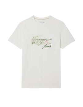 Lacoste Camiseta Tee-Shirts & Cols Roules Farine/F