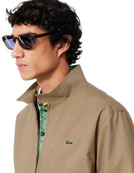 Lacoste Cazadora Blousons Lion