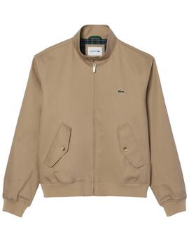 Lacoste Cazadora Blousons Lion