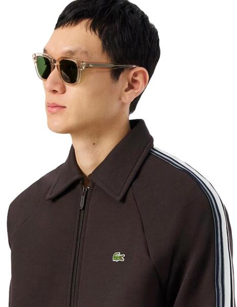 Gallery t01329 lo8qusju