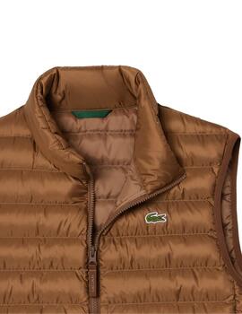 Lacoste  Cazadora Blousons Cookie