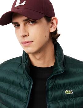 Lacoste  Cazadora Blousons Sinople