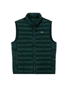 Lacoste  Cazadora Blousons Sinople