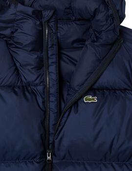 Lacoste  Cazadora Blousons Marine