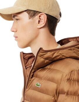 Lacoste  Cazadora Blousons Cookie