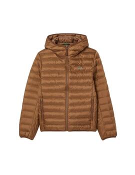 Lacoste  Cazadora Blousons Cookie