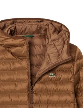 Lacoste  Cazadora Blousons Cookie