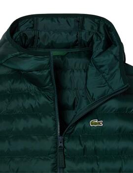 Lacoste  Cazadora Blousons Sinople