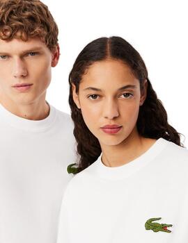 Lacoste  Camiseta Tee-Shirts & Cols Roules Blanc