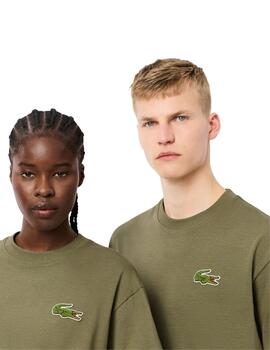 Lacoste  Camiseta Tee-Shirts & Cols Roules Kaki