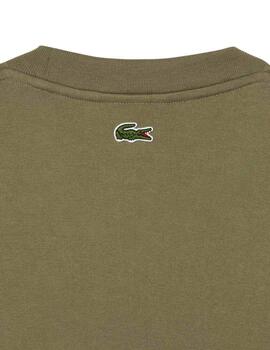 Lacoste  Camiseta Tee-Shirts & Cols Roules Kaki