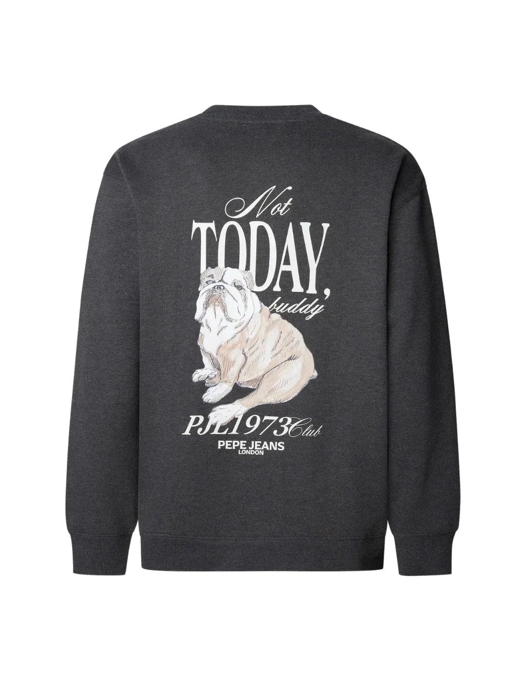 Pepe Jeans Sudadera Terry Gris oscuro