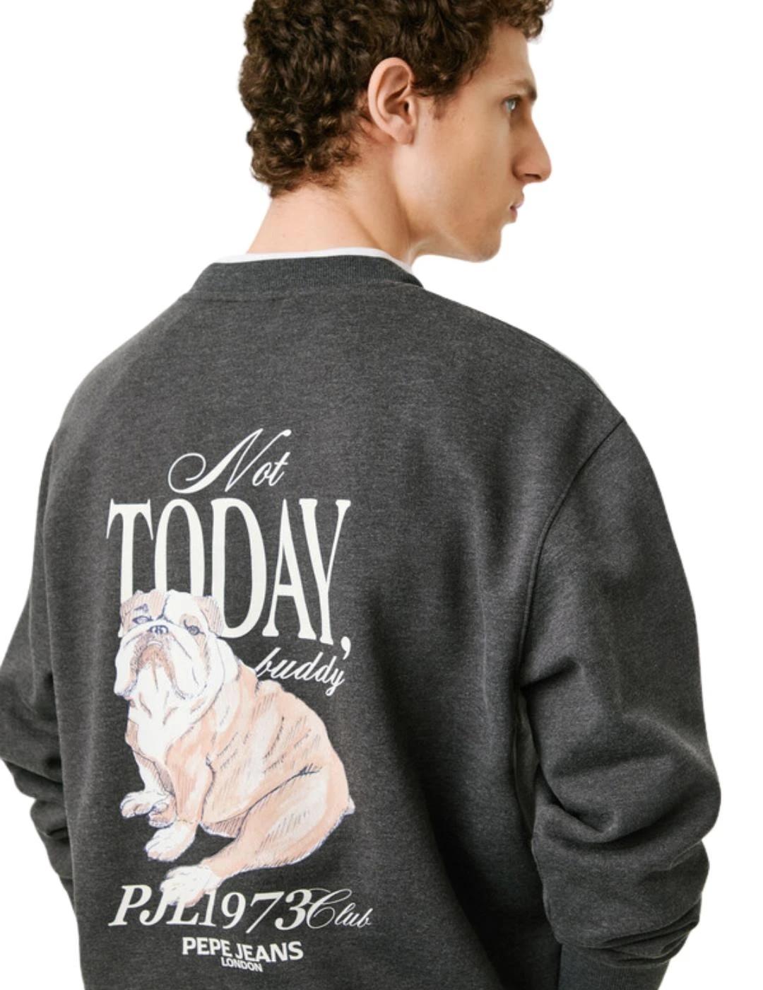 Pepe Jeans Sudadera Terry Gris oscuro