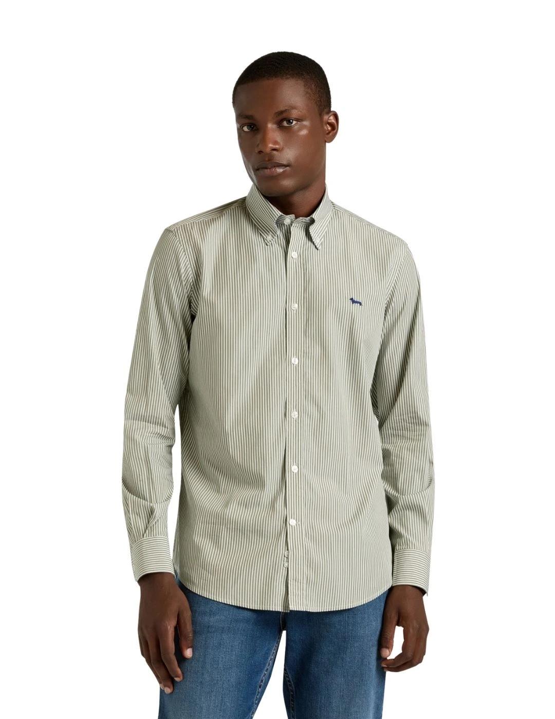 Harmont & Blaine Camisa perro salchicha Verde raya