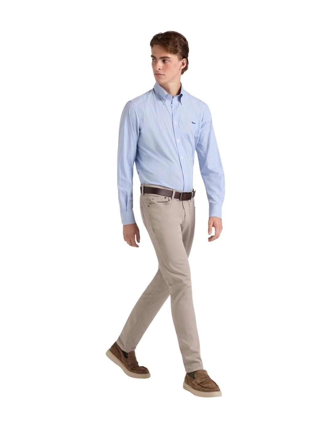 Harmont & Blaine Camisa perro salchicha Azul rayas