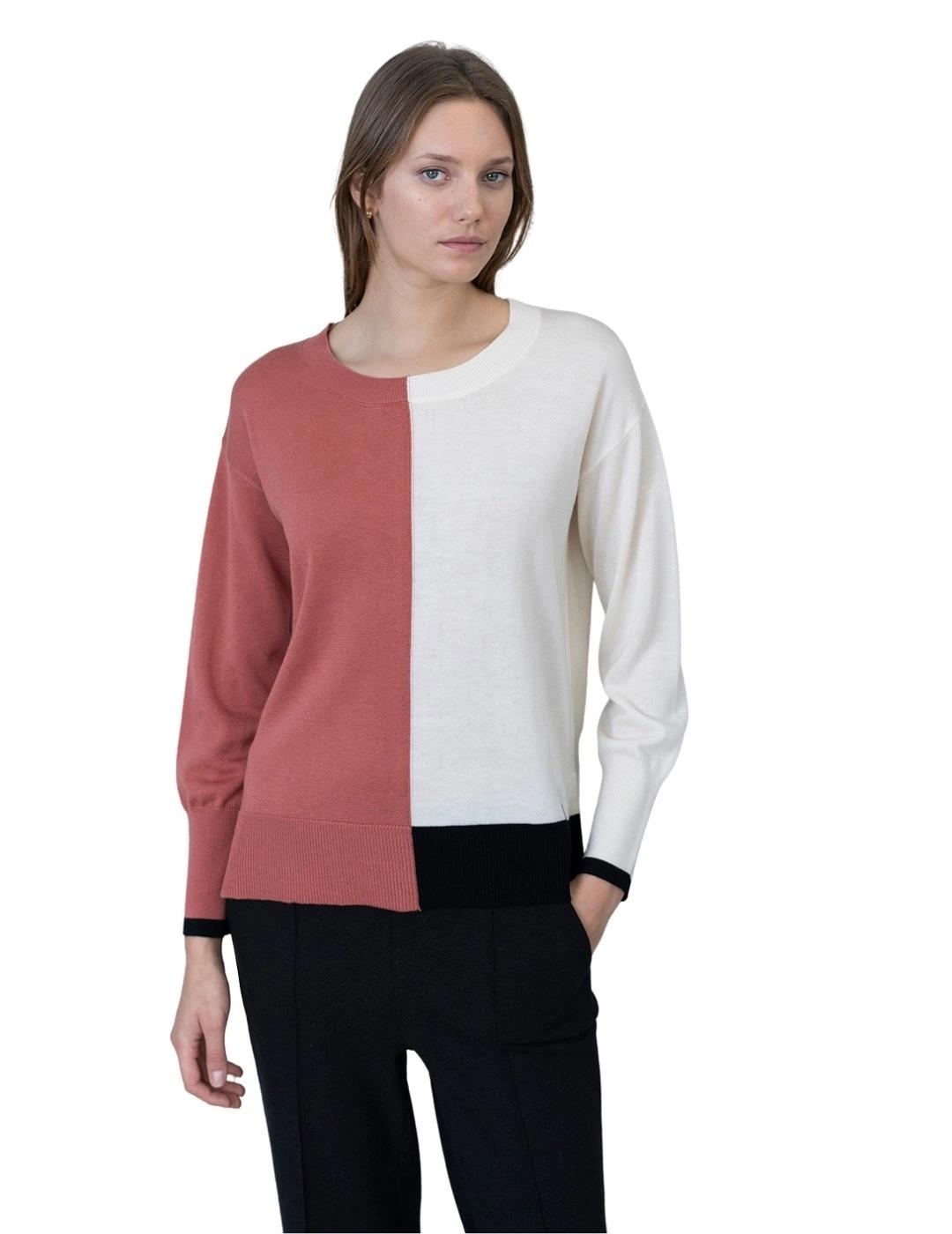 Hongo Jersey Teja bicolor