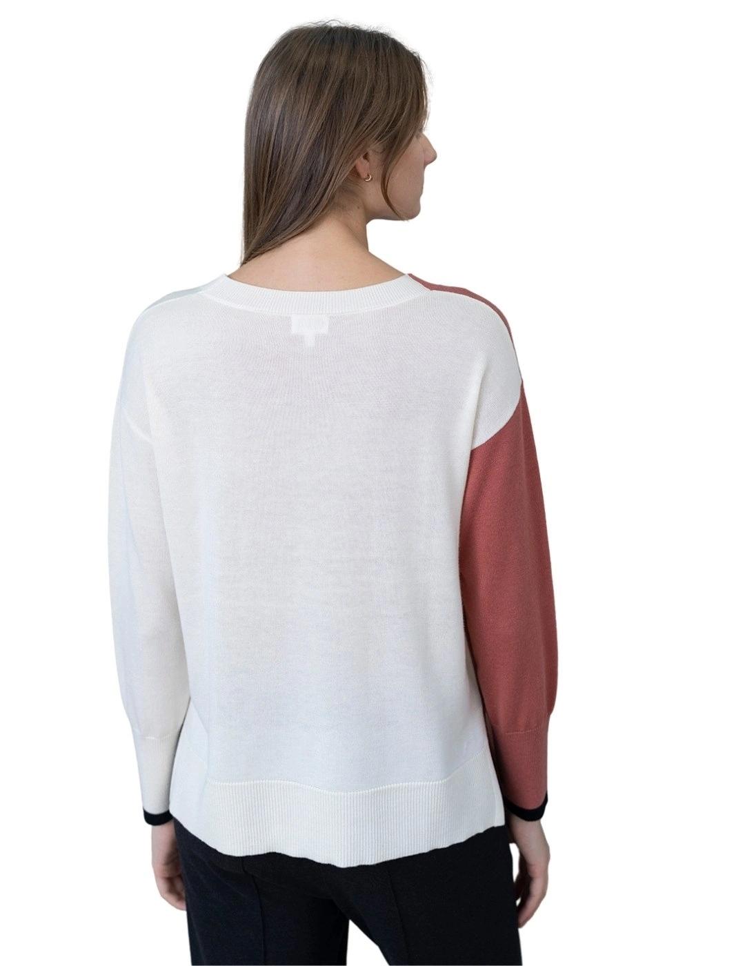 Hongo Jersey Teja bicolor