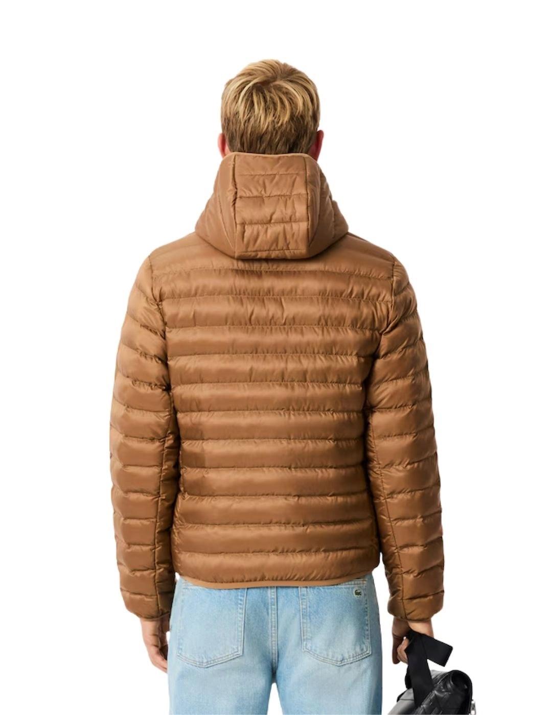 Lacoste Chaqueta acolchada hidrófuga Marrón