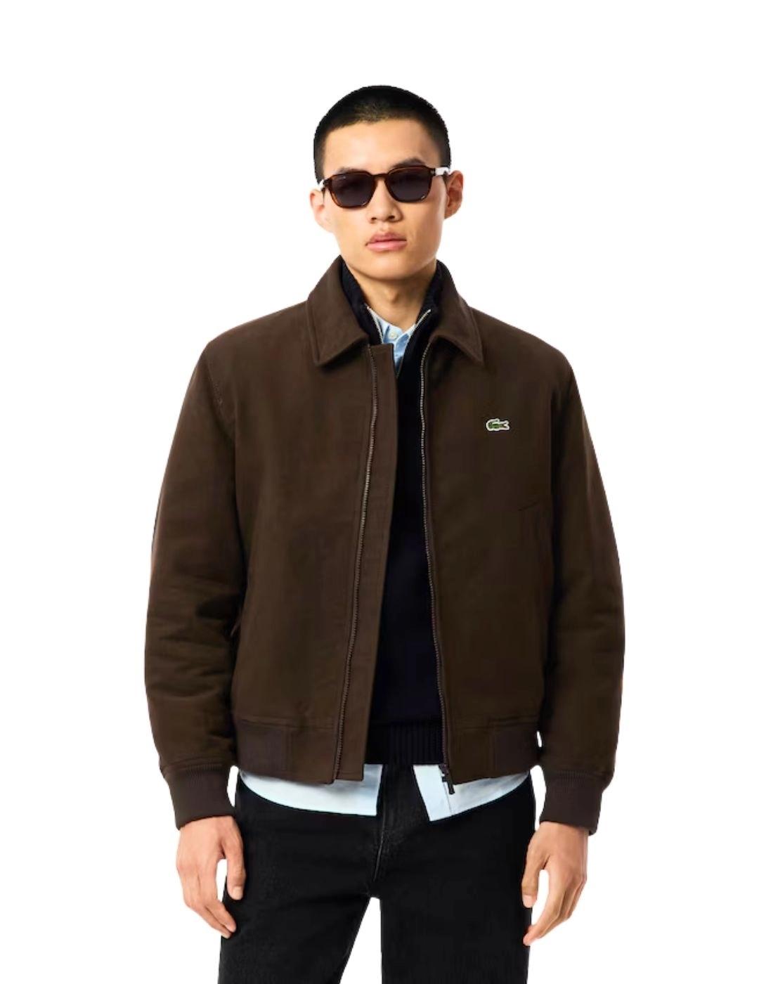 Lacoste Chaqueta de moleskin acolchada Marrón