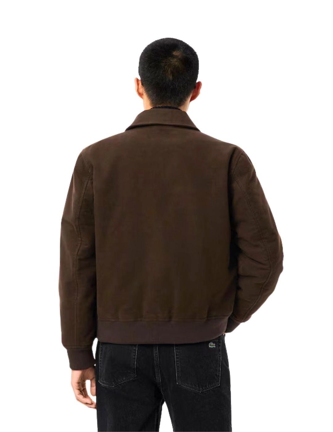 Lacoste Chaqueta de moleskin acolchada Marrón