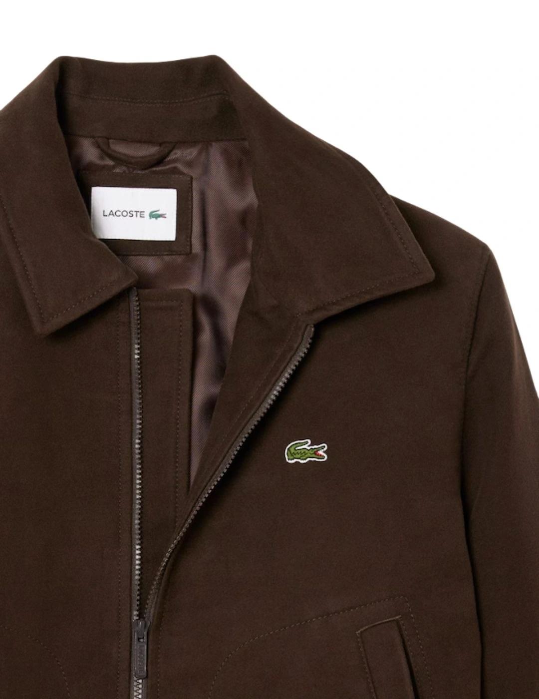 Lacoste Chaqueta de moleskin acolchada Marrón