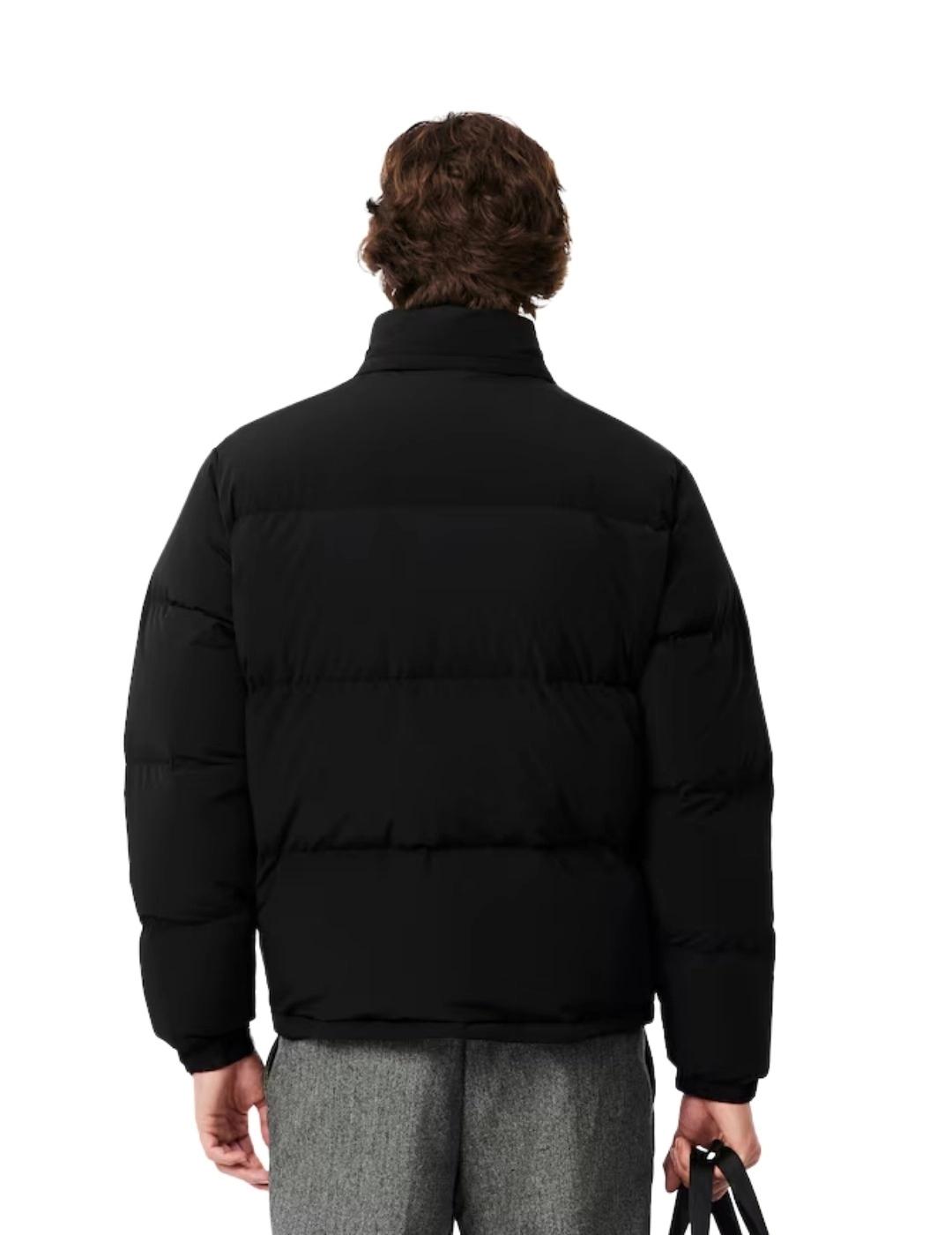 Lacoste Chaqueta acolchada con capucha Negra