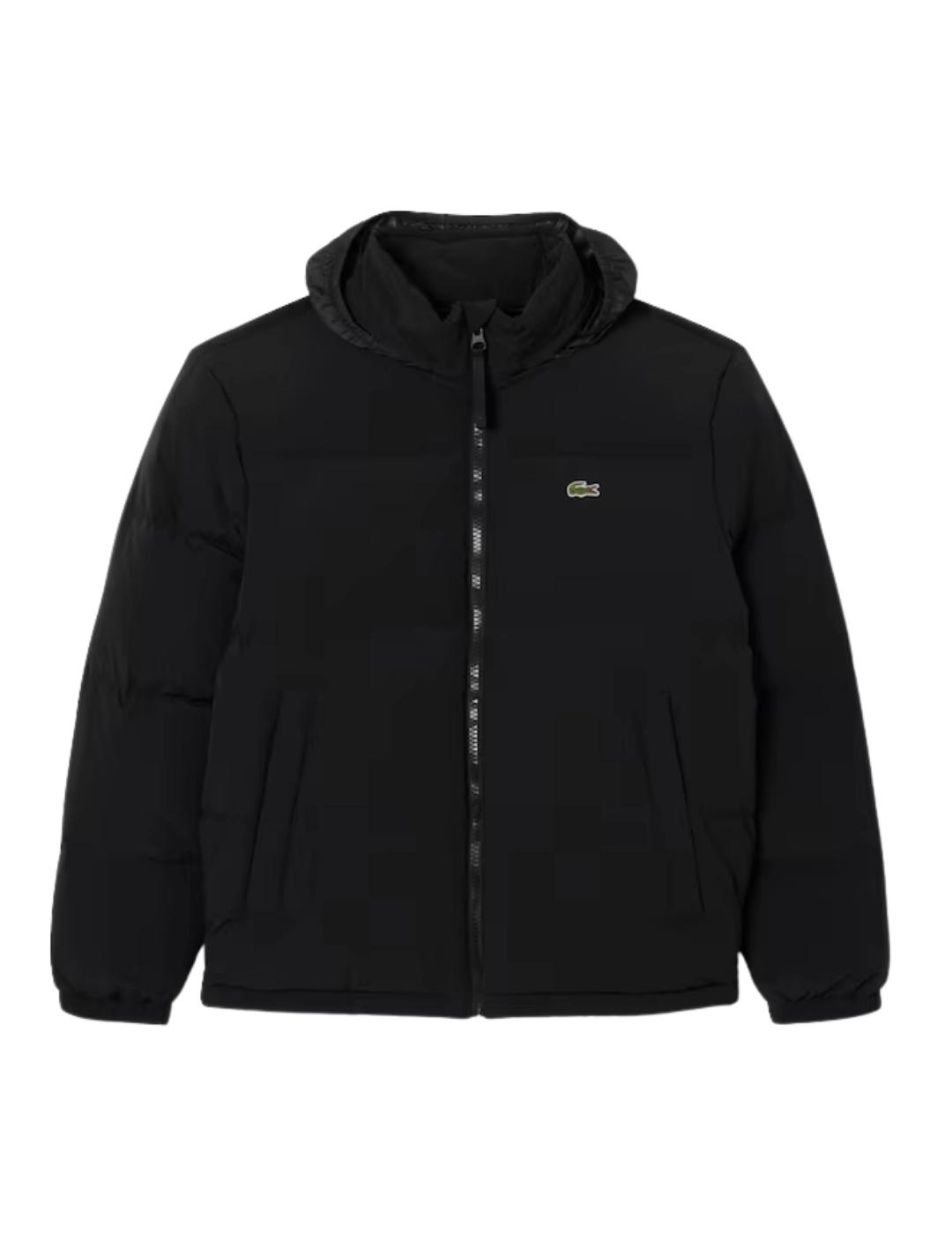 Lacoste Chaqueta acolchada con capucha Negra