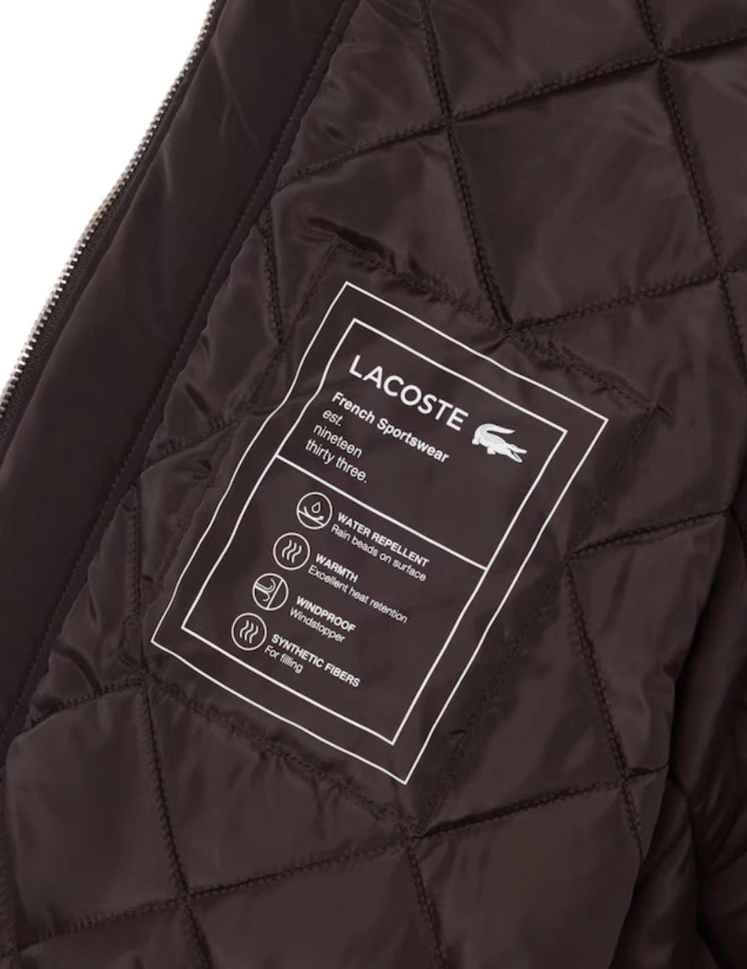Lacoste Cazadora de aviador con insignia hidrófuga