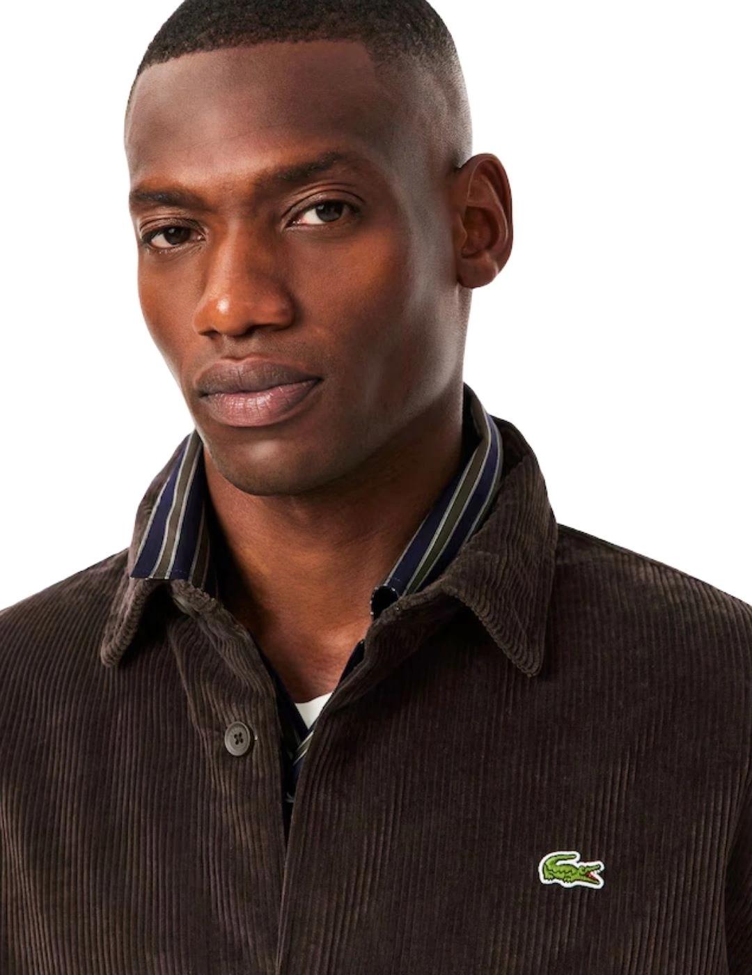 Lacoste Sobrecamisa de pana oversized Marrón