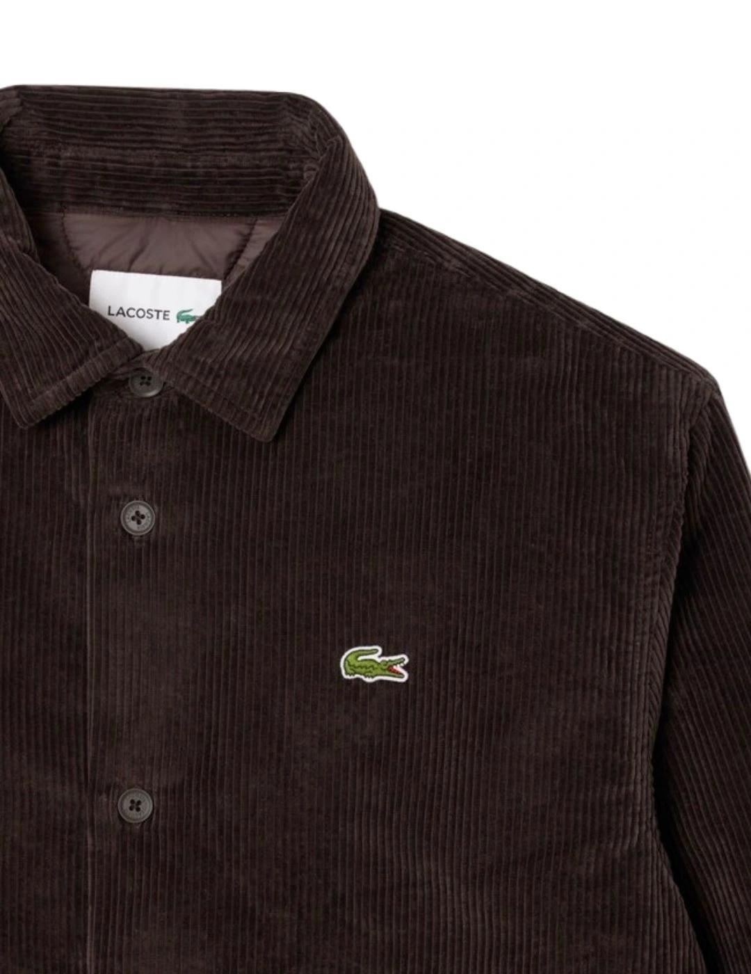 Lacoste Sobrecamisa de pana oversized Marrón