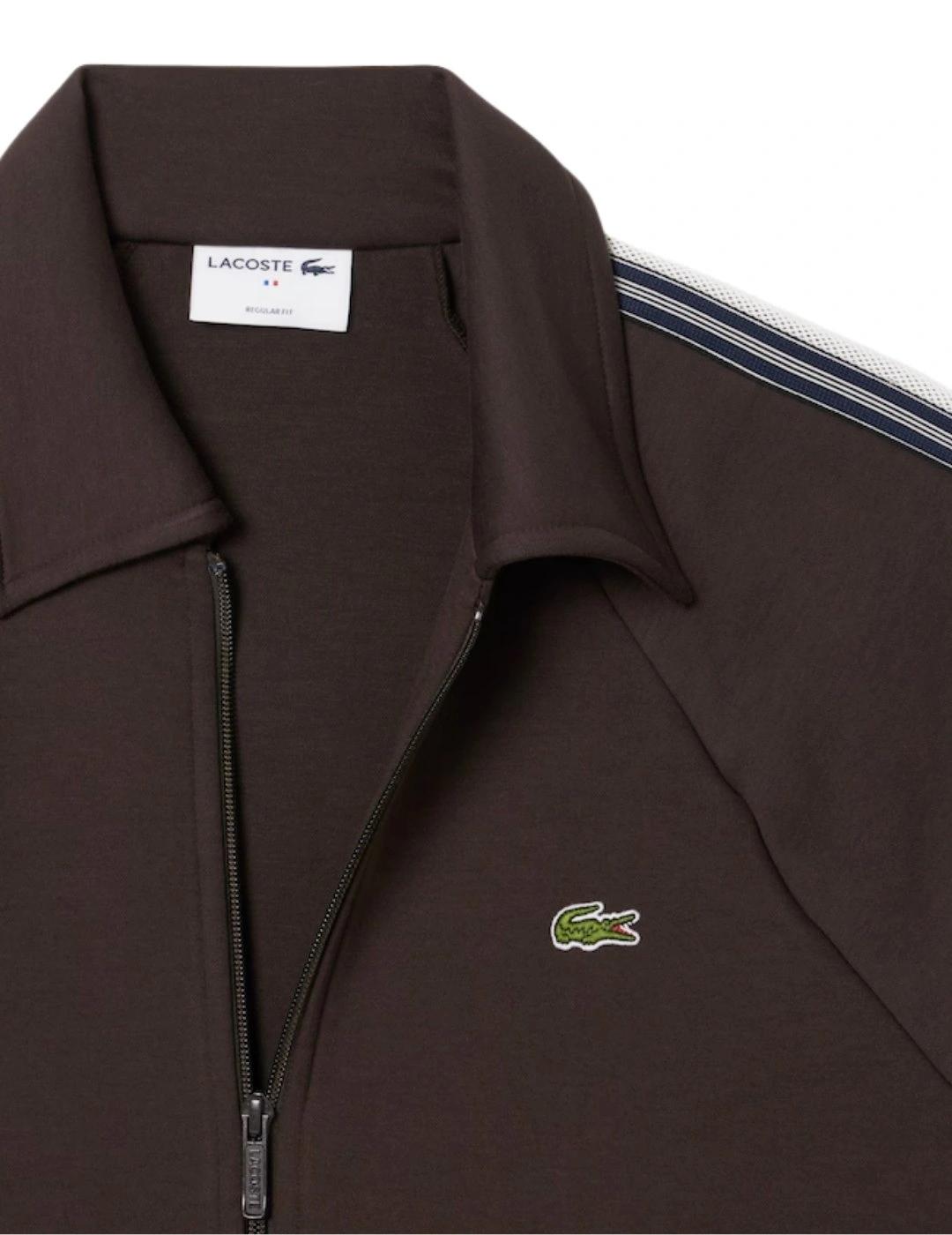 Lacoste Sudadera con cremallera fancesa Marrón