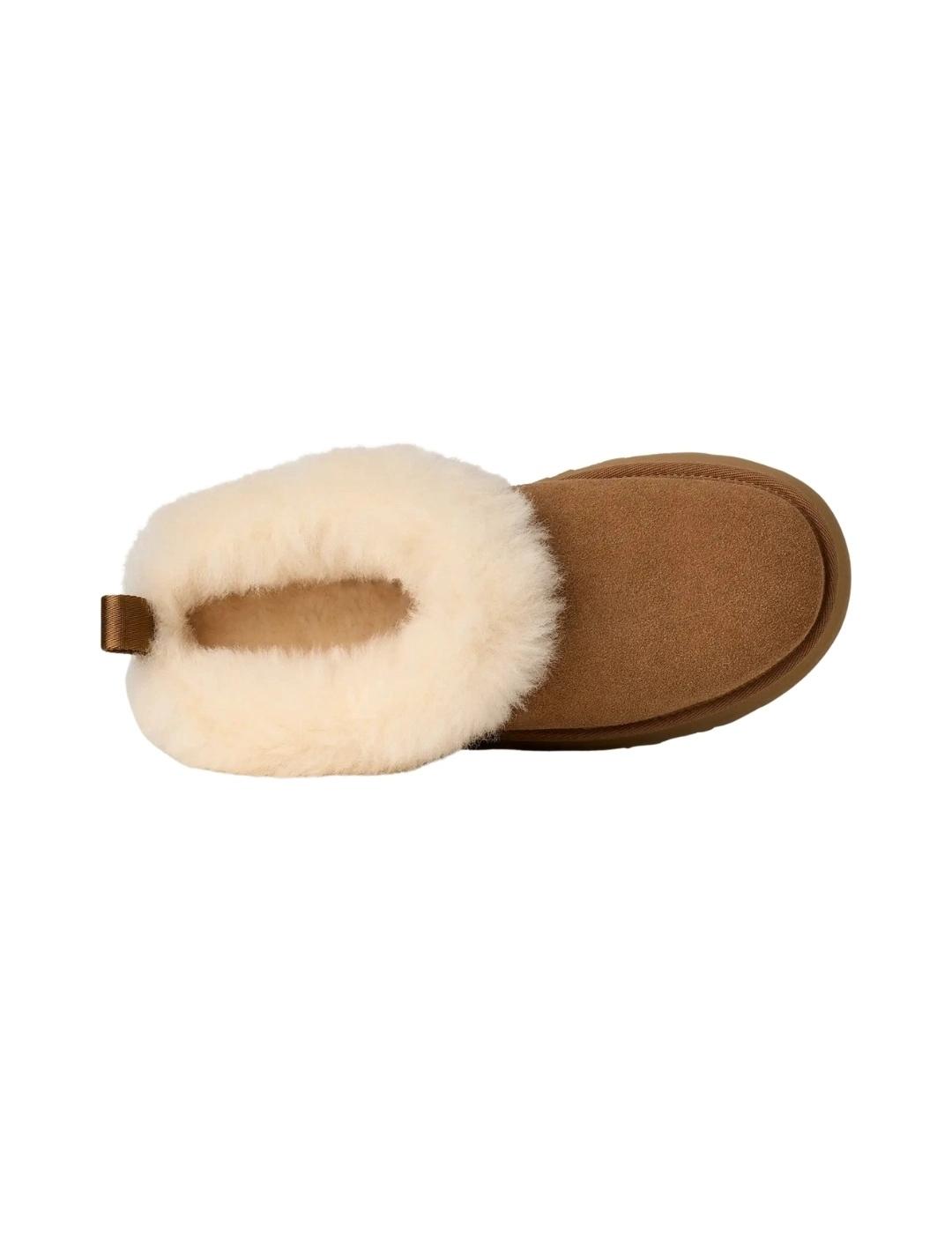 Ugg Botas Tazzelle Chestnut