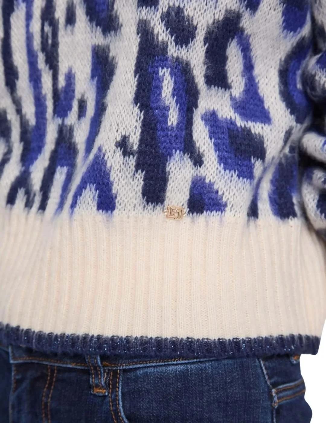 Gaudi Jersey estampado jacquard Azul y blanco